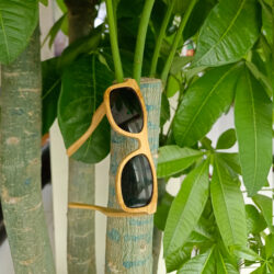 gafas de bambu livegens